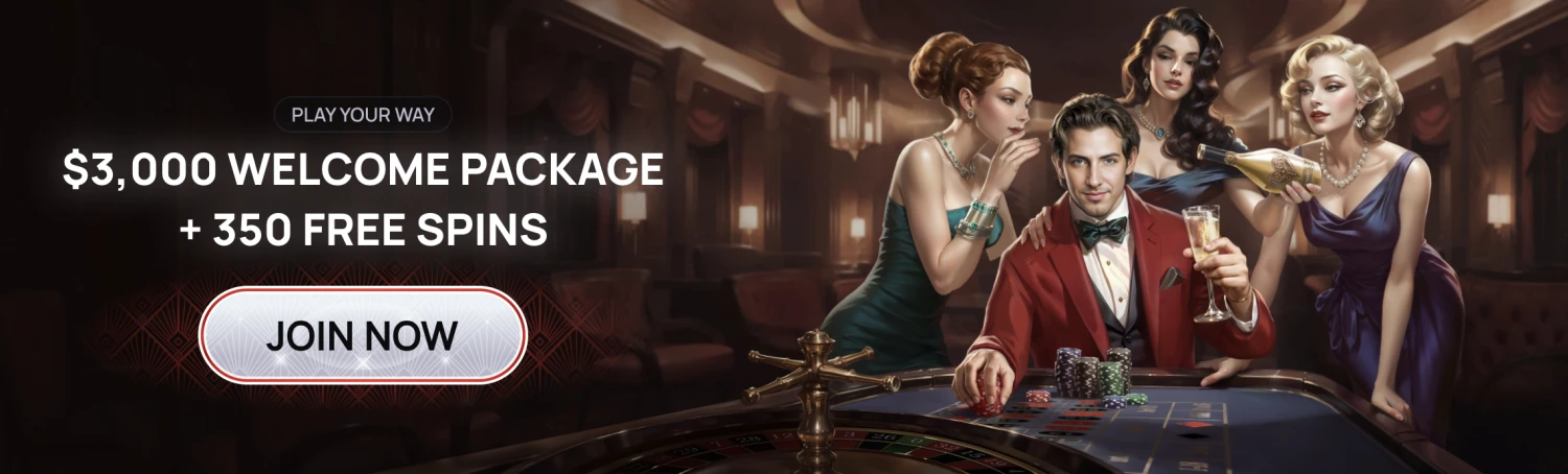 Promotional Banner